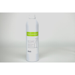CLEANspray KaVo 500ml Ds