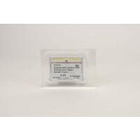 Guttaperchasp. Greater Taper 4/20 Pa